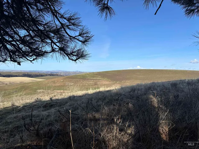 $538,551 | 0 Wendt Road, Kendrick, ID 83537