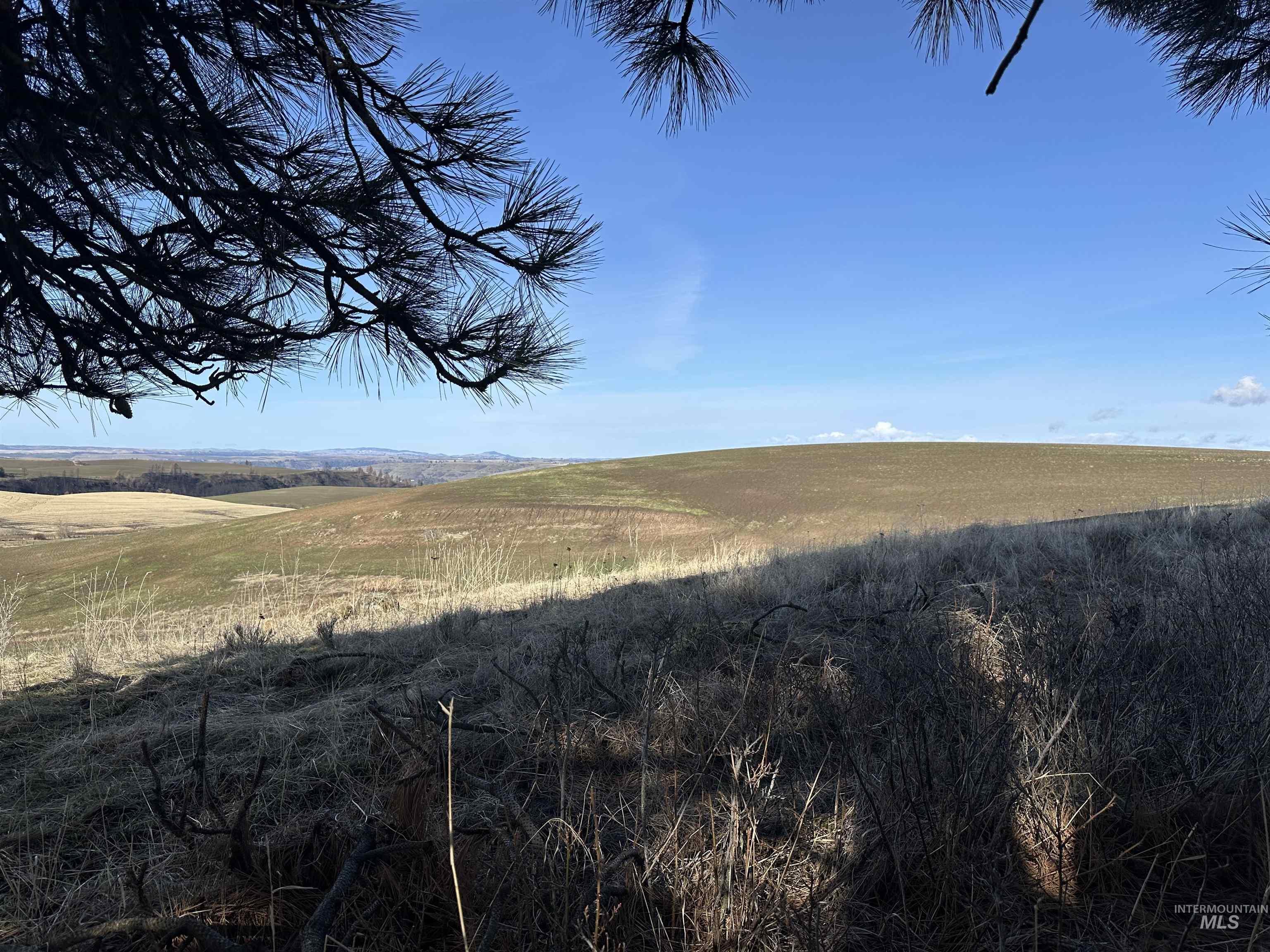 0 Wendt Road Kendrick, ID 83537 - Photo 38 of 42