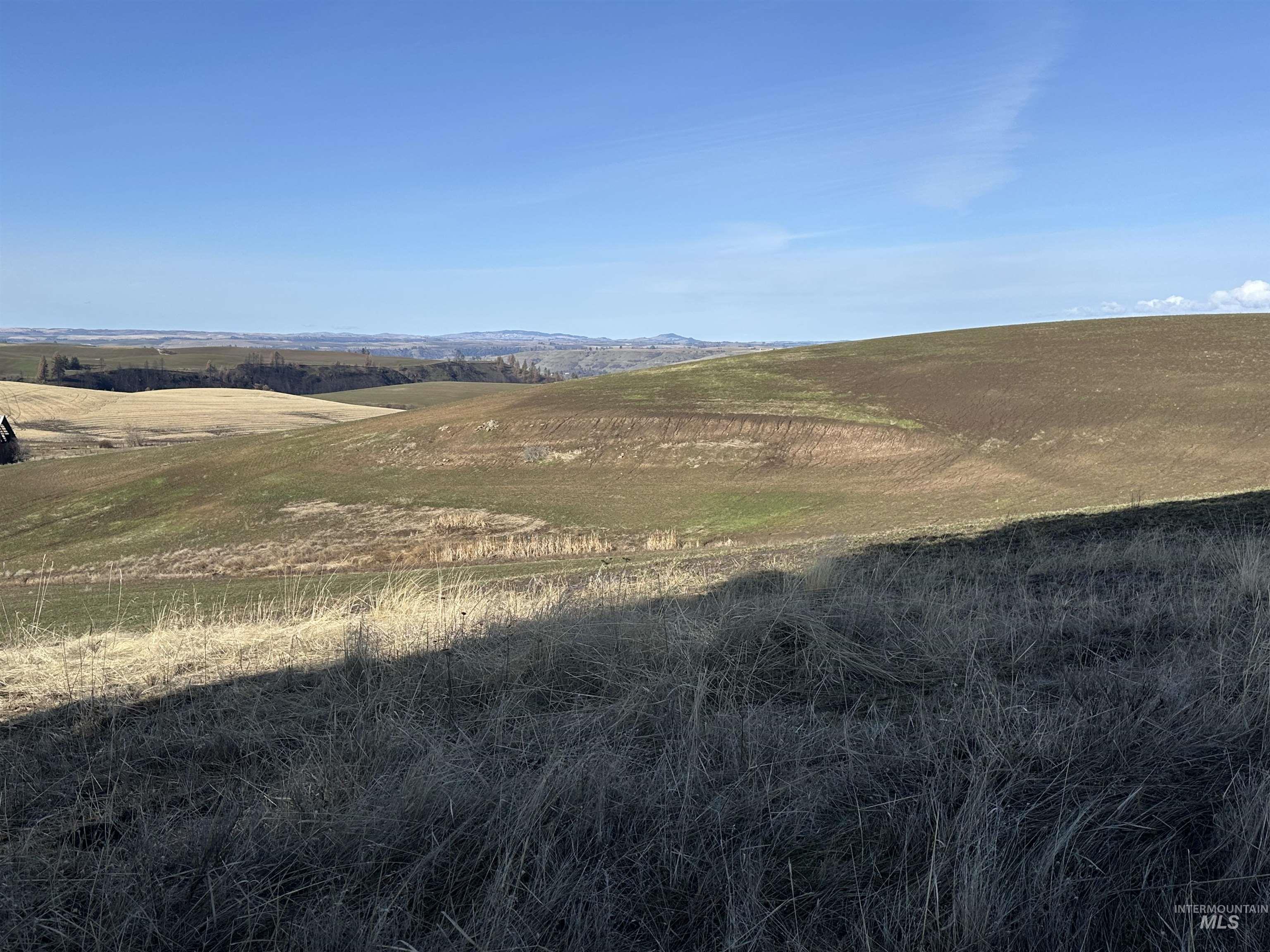 0 Wendt Road Kendrick, ID 83537 - Photo 39 of 42