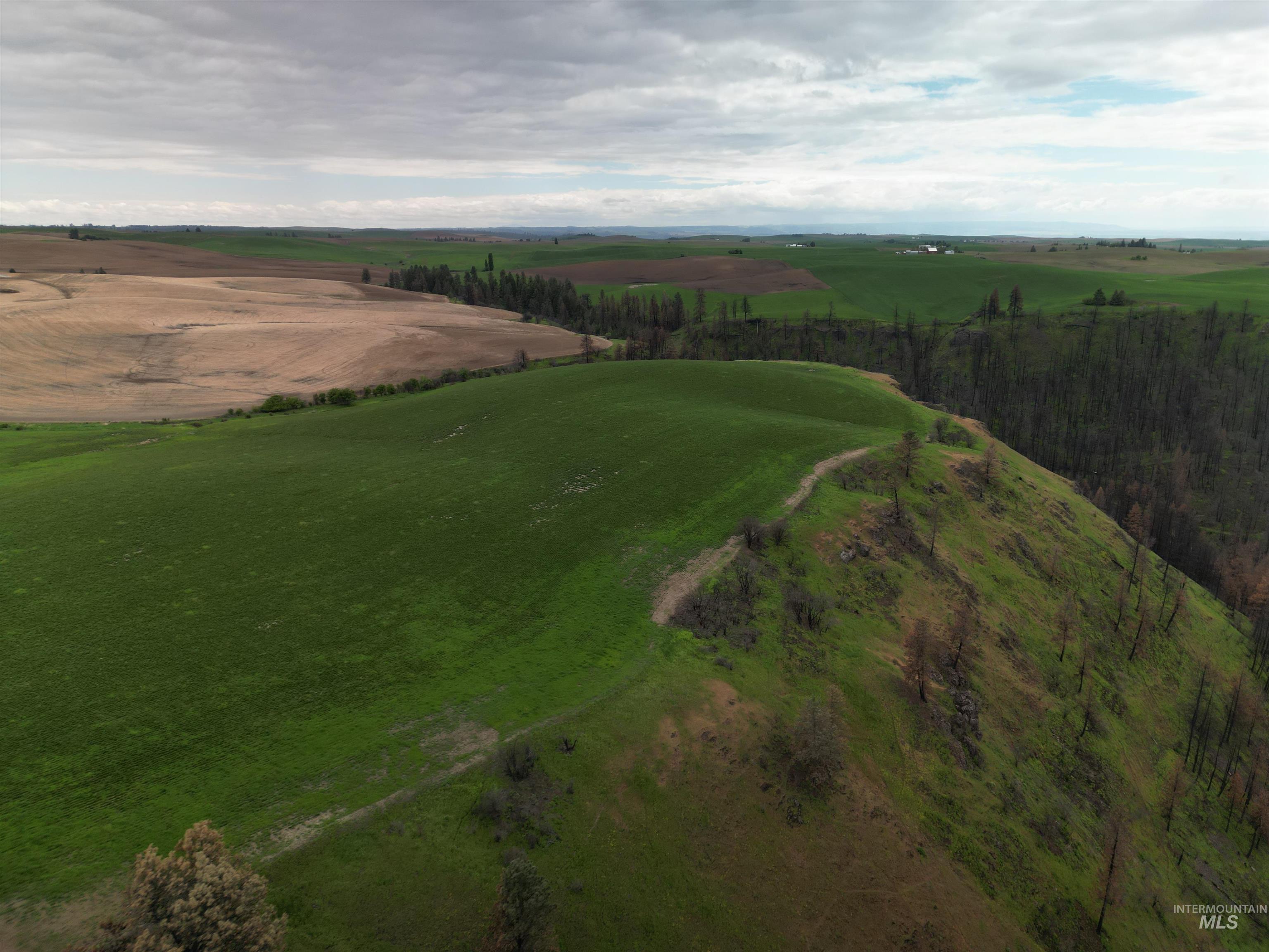 0 Wendt Road Kendrick, ID 83537 - Photo 6 of 42