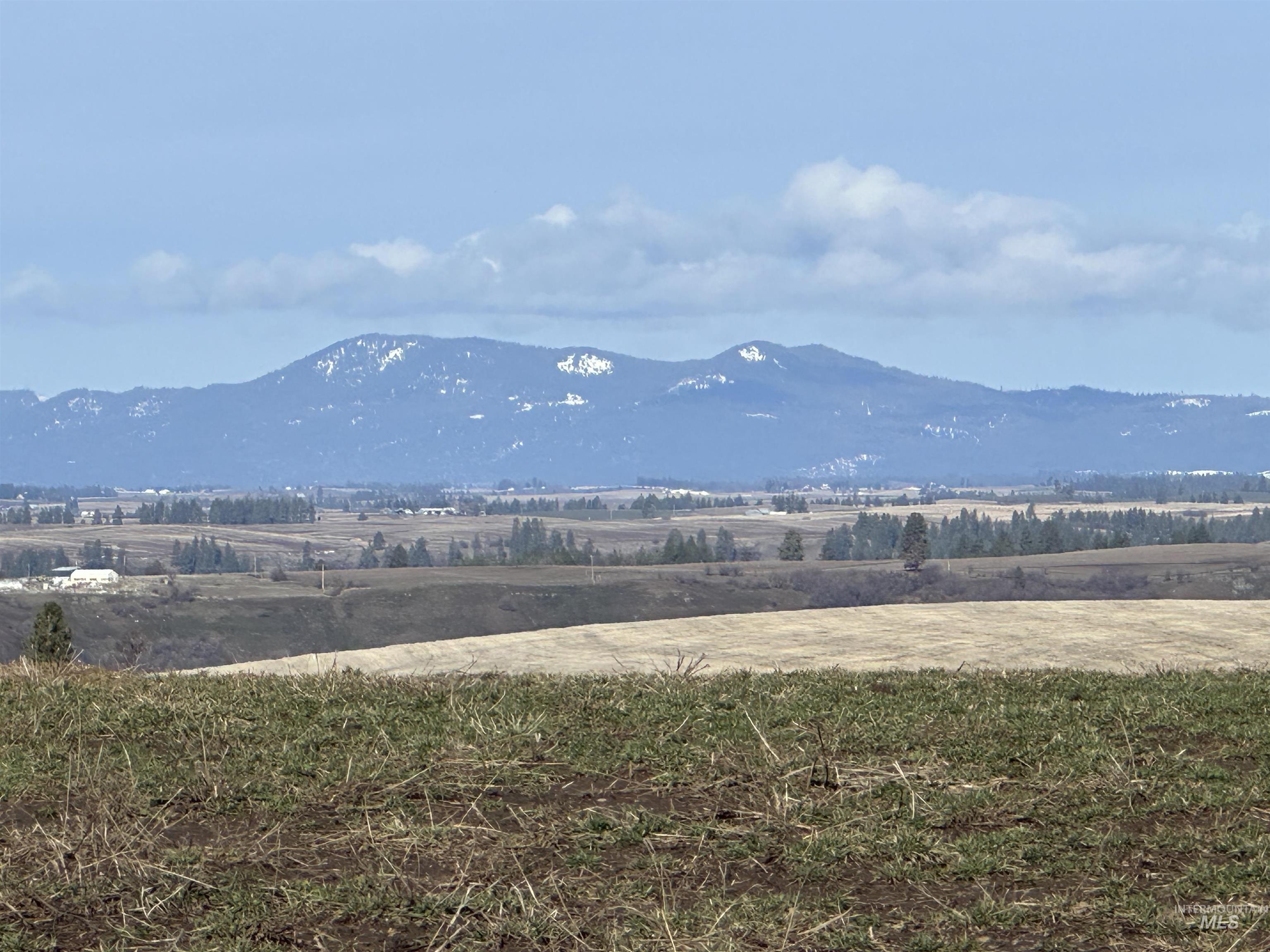 0 Wendt Road Kendrick, ID 83537 - Photo 8 of 42