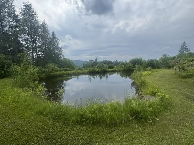629 South Craftsbury Road Craftsbury, VT 05826 - Photo 40 of 54