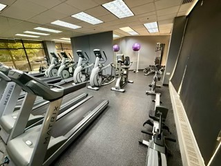 1529 South State Street, Unit 4B Chicago, IL 60605 - Photo 16 of 16 walk in a room with gym equipment