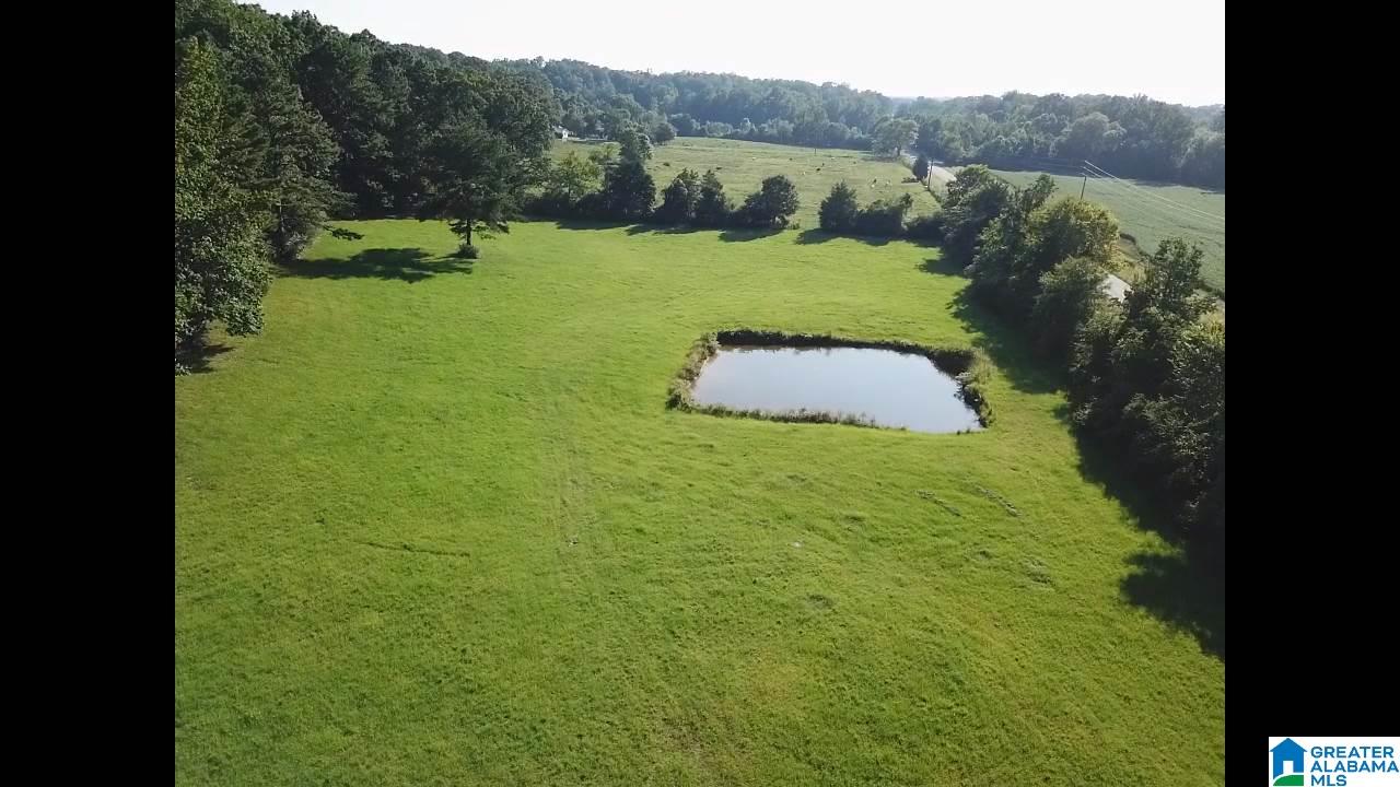 2801 Grist Mill Road Alpine, AL 35014 - Photo 41 of 47