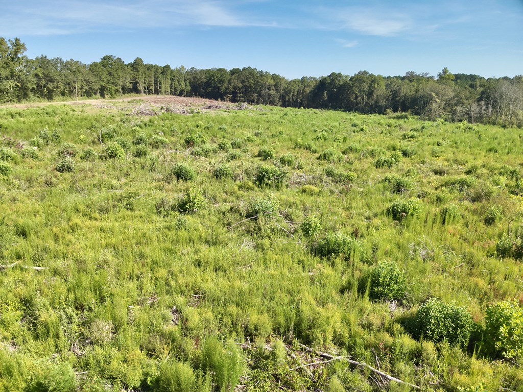 Undisclosed Address Slocomb, AL 36375 - Photo 3 of 23