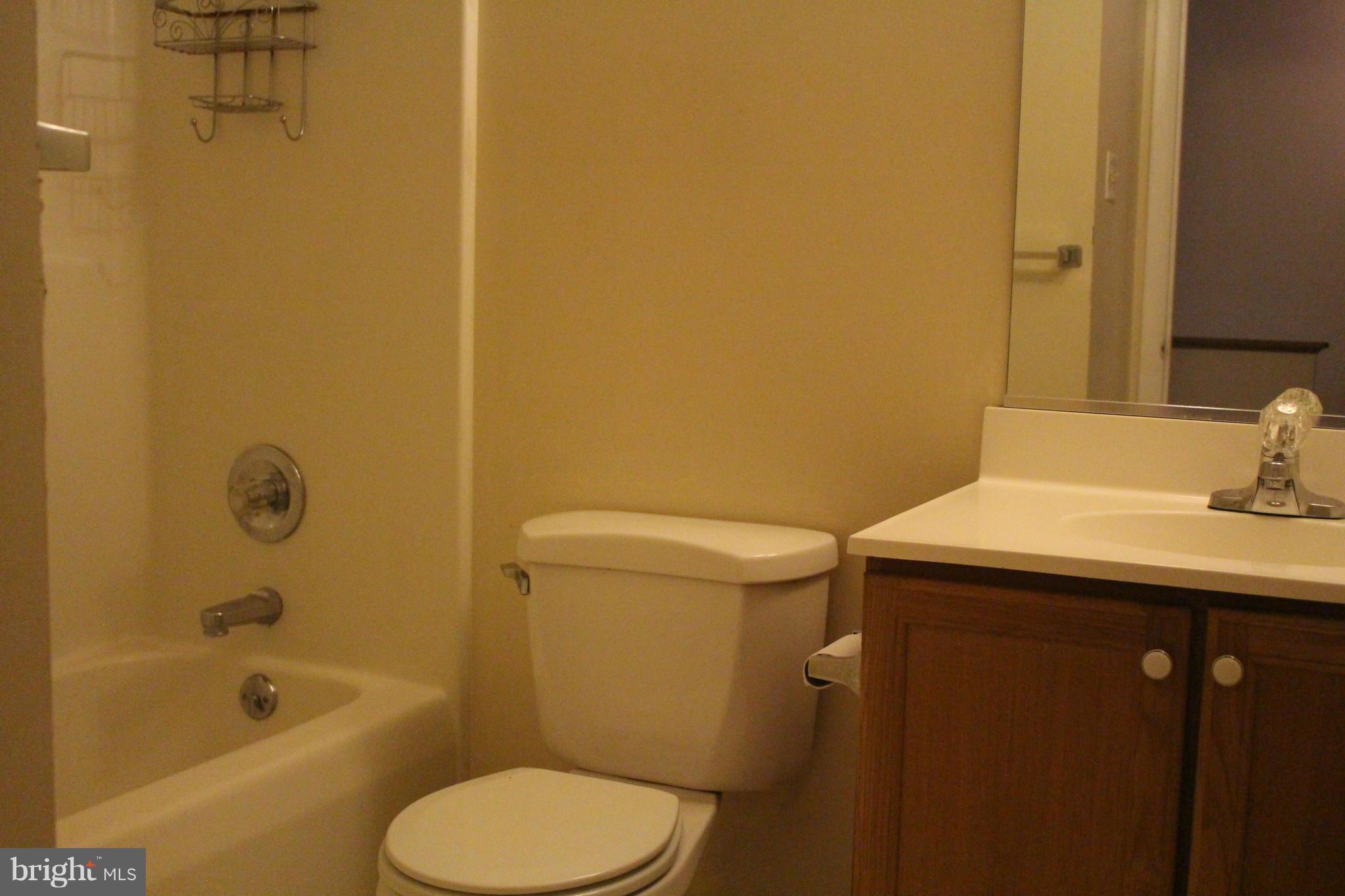 106 Jason's Ridge Smithsburg, MD 21783 - Photo 14 of 29 Bath