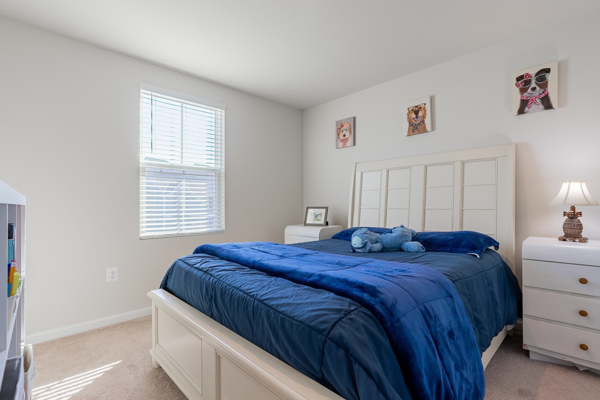 570 Wingtip Way Harrisonburg, VA 22801 - Photo 23 of 50