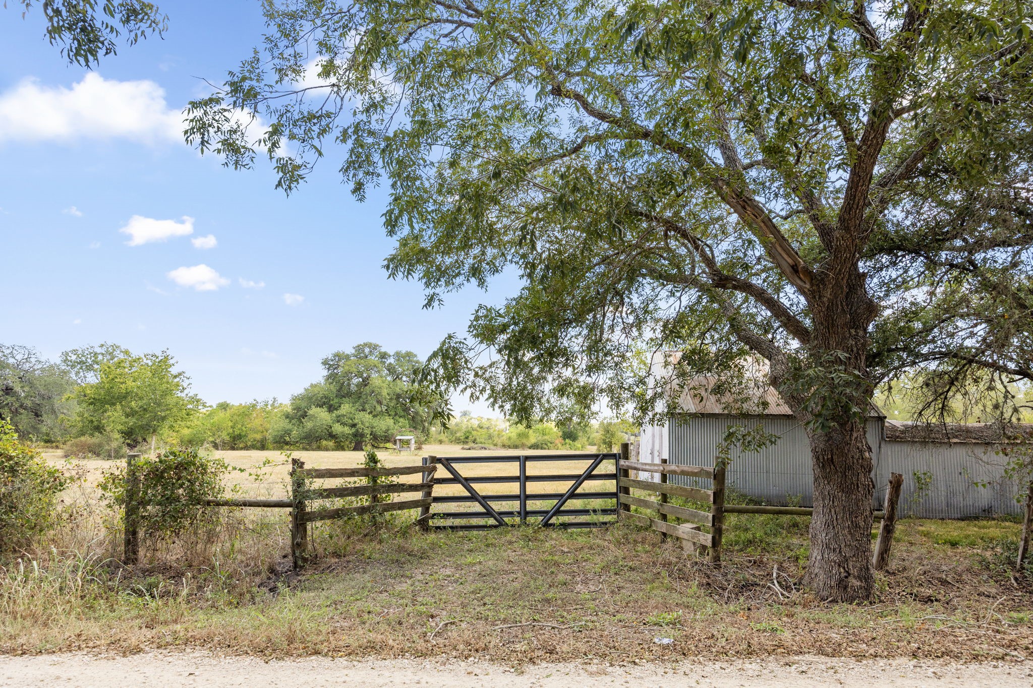 a view of a bench in a backyard