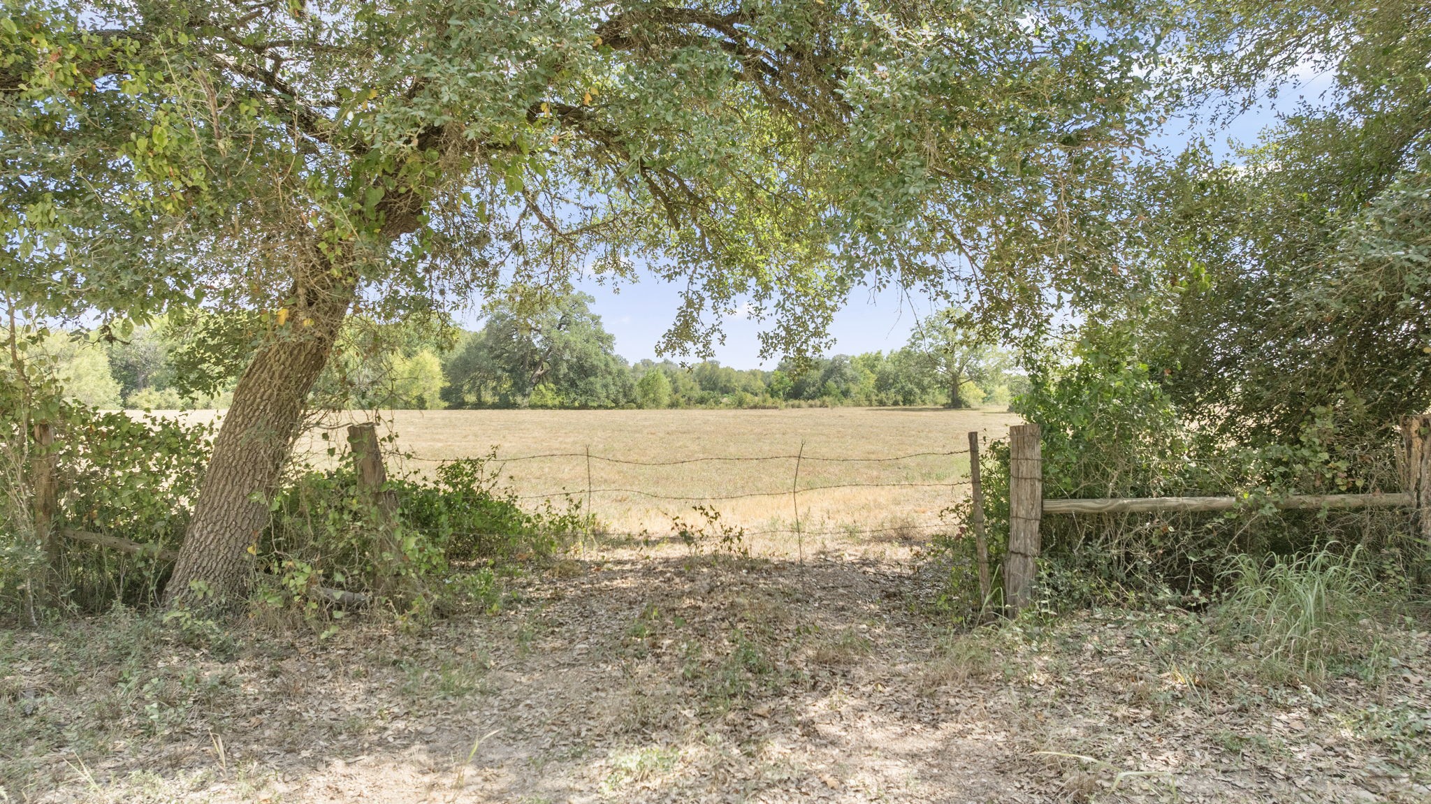 1268 Stokes Road Fayetteville, TX 78940 - Photo 13 of 21 a view of backyard with green space