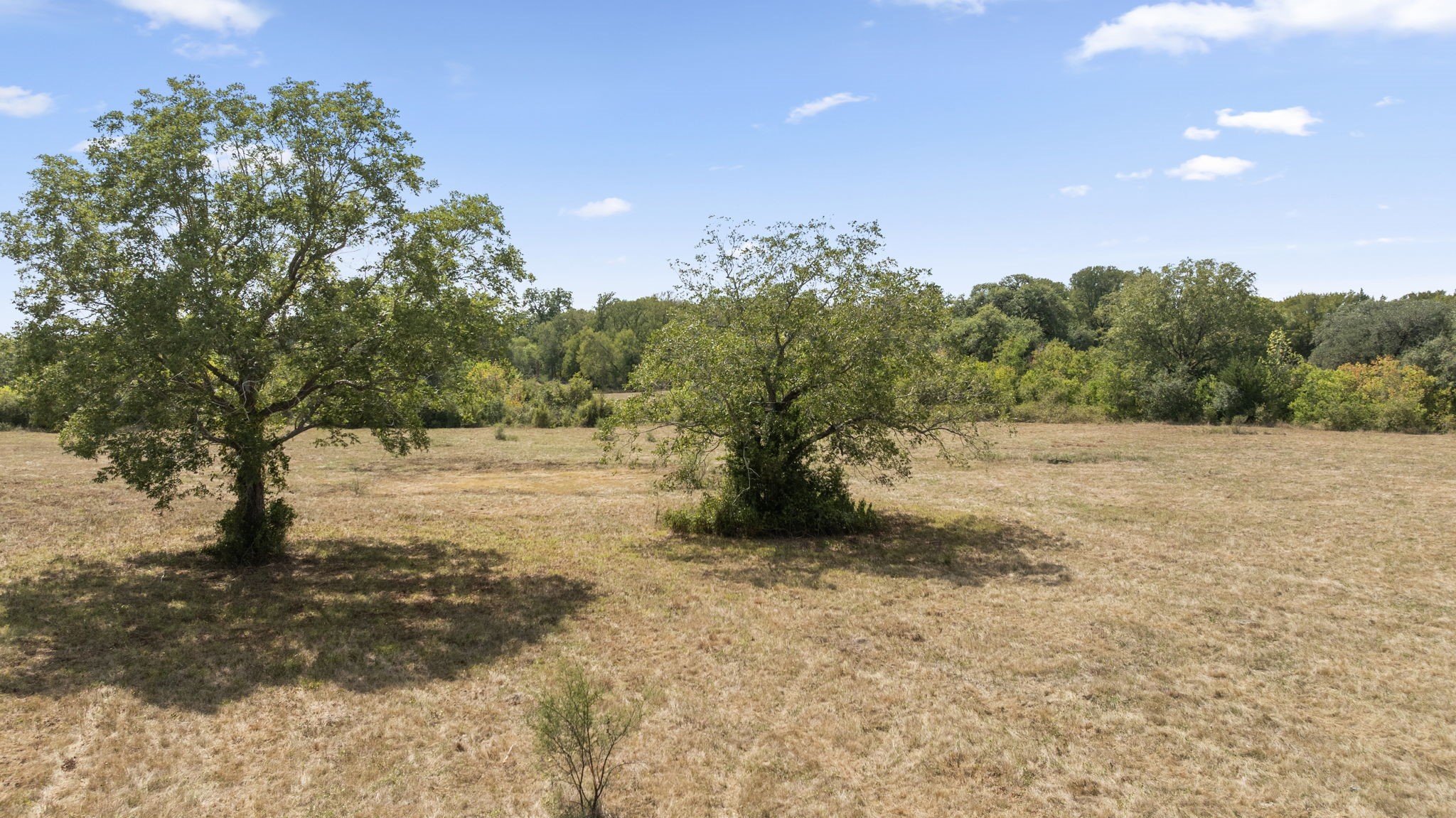 1268 Stokes Road Fayetteville, TX 78940 - Photo 16 of 21 a view of empty yard with trees
