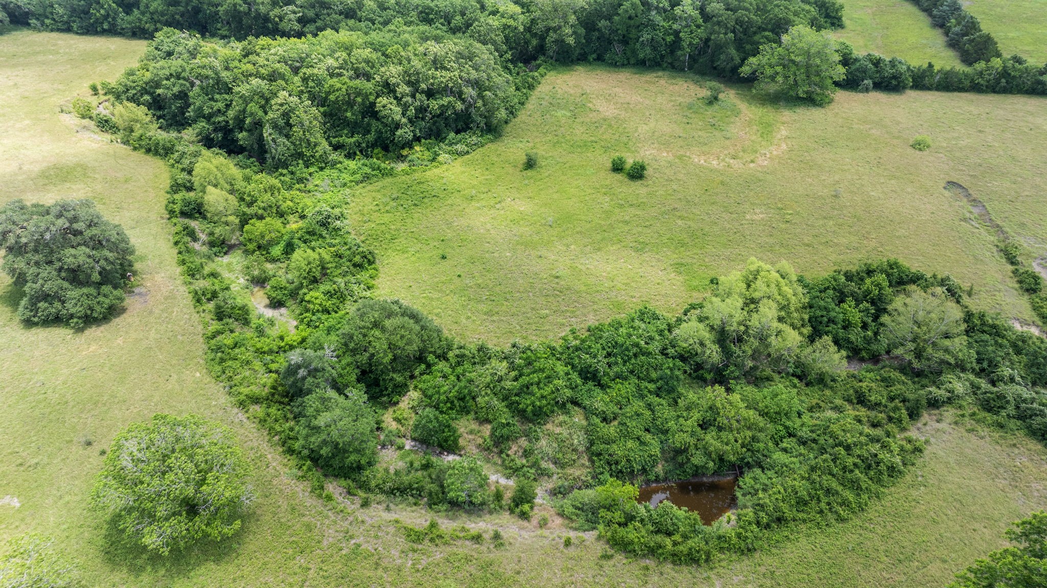 1268 Stokes Road Fayetteville, TX 78940 - Photo 6 of 21 a view of a garden