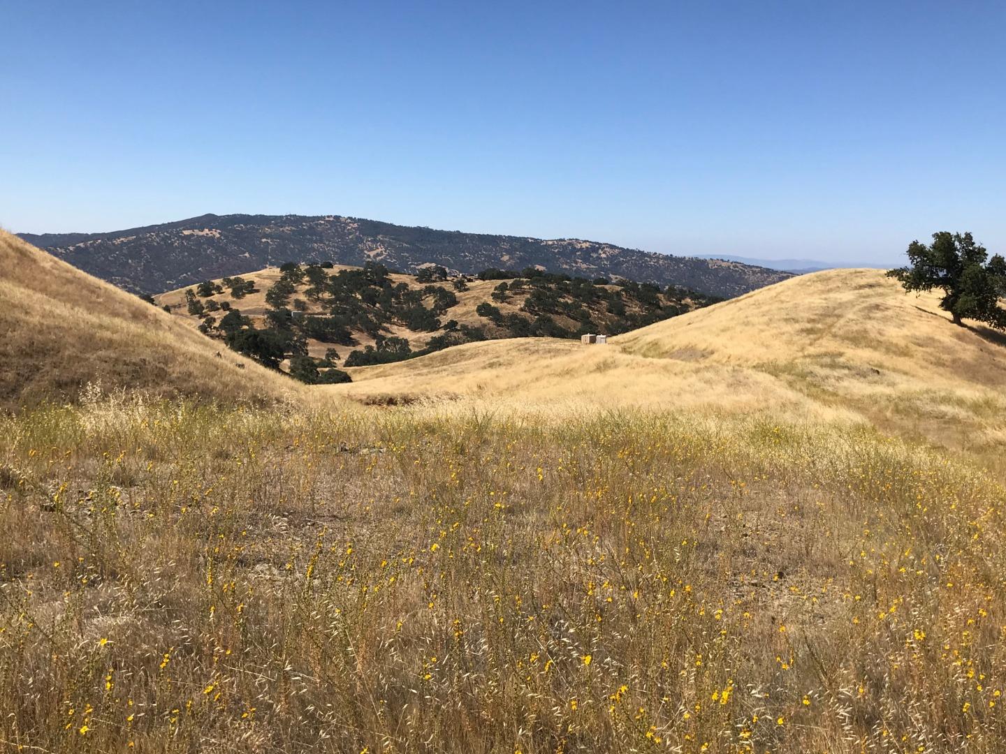 Lot 6 Panoche Road Paicines, CA 95043 - Photo 11 of 12 Gallery Image 11