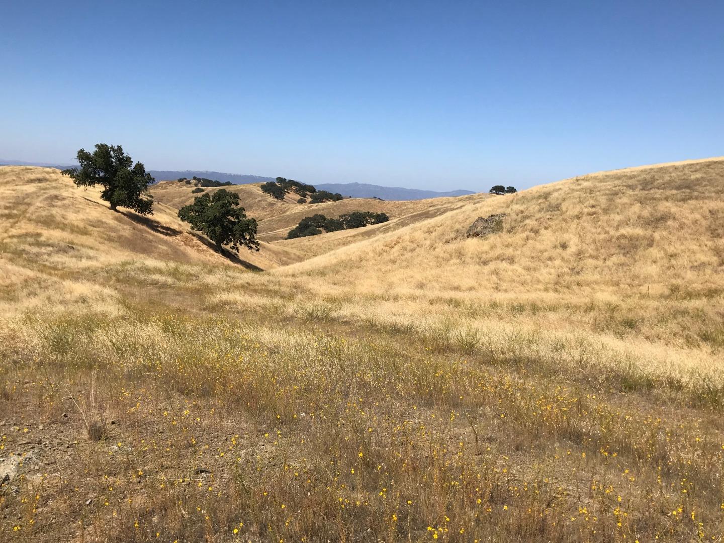 Lot 6 Panoche Road Paicines, CA 95043 - Photo 12 of 12 Gallery Image 12