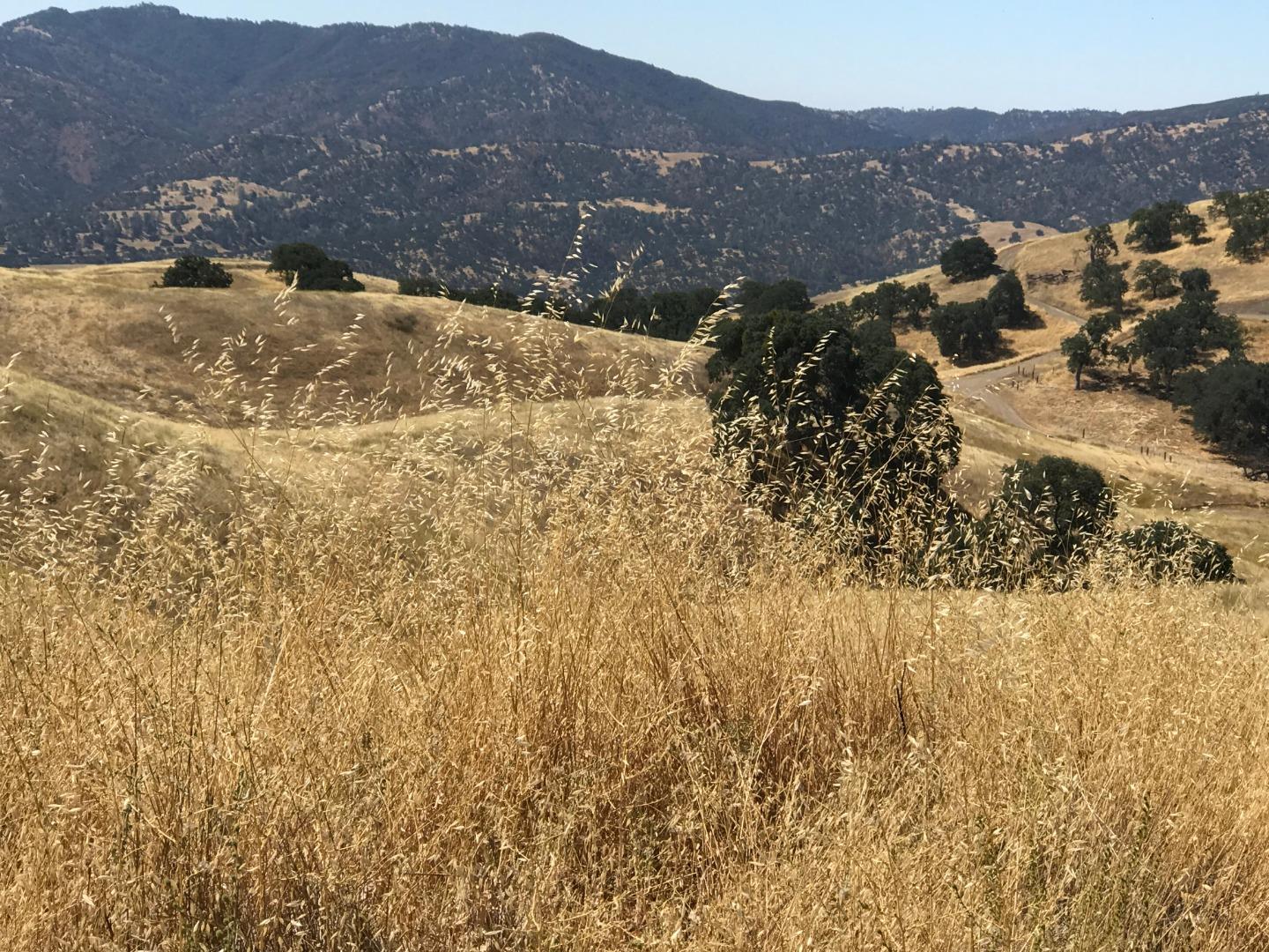 Lot 6 Panoche Road Paicines, CA 95043 - Photo 3 of 12 Gallery Image 3