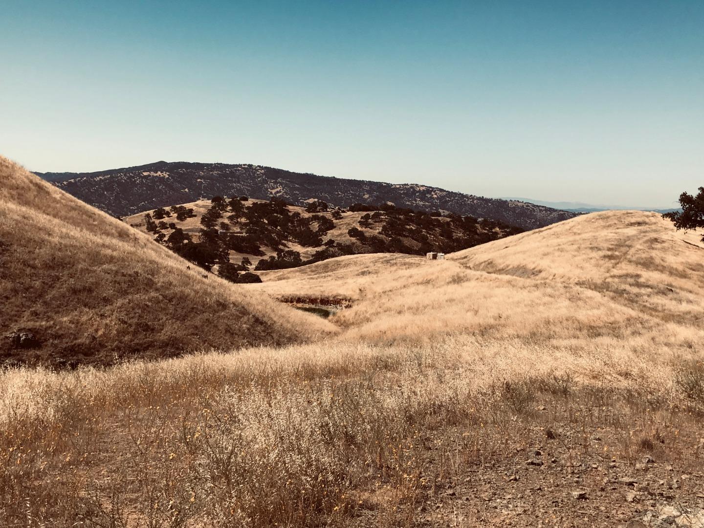 Lot 6 Panoche Road Paicines, CA 95043 - Photo 5 of 12 Gallery Image 5