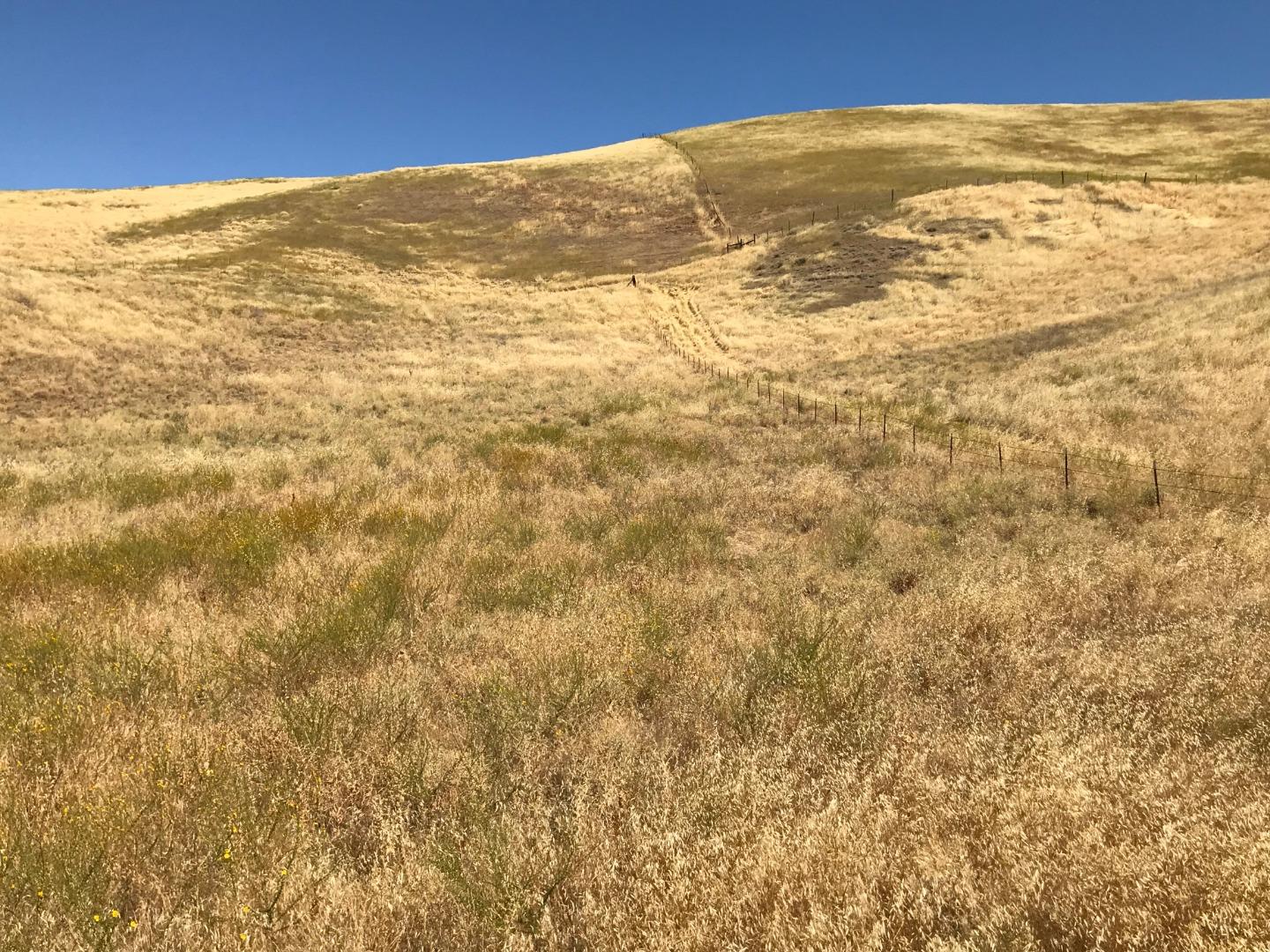 Lot 6 Panoche Road Paicines, CA 95043 - Photo 6 of 12 Gallery Image 6