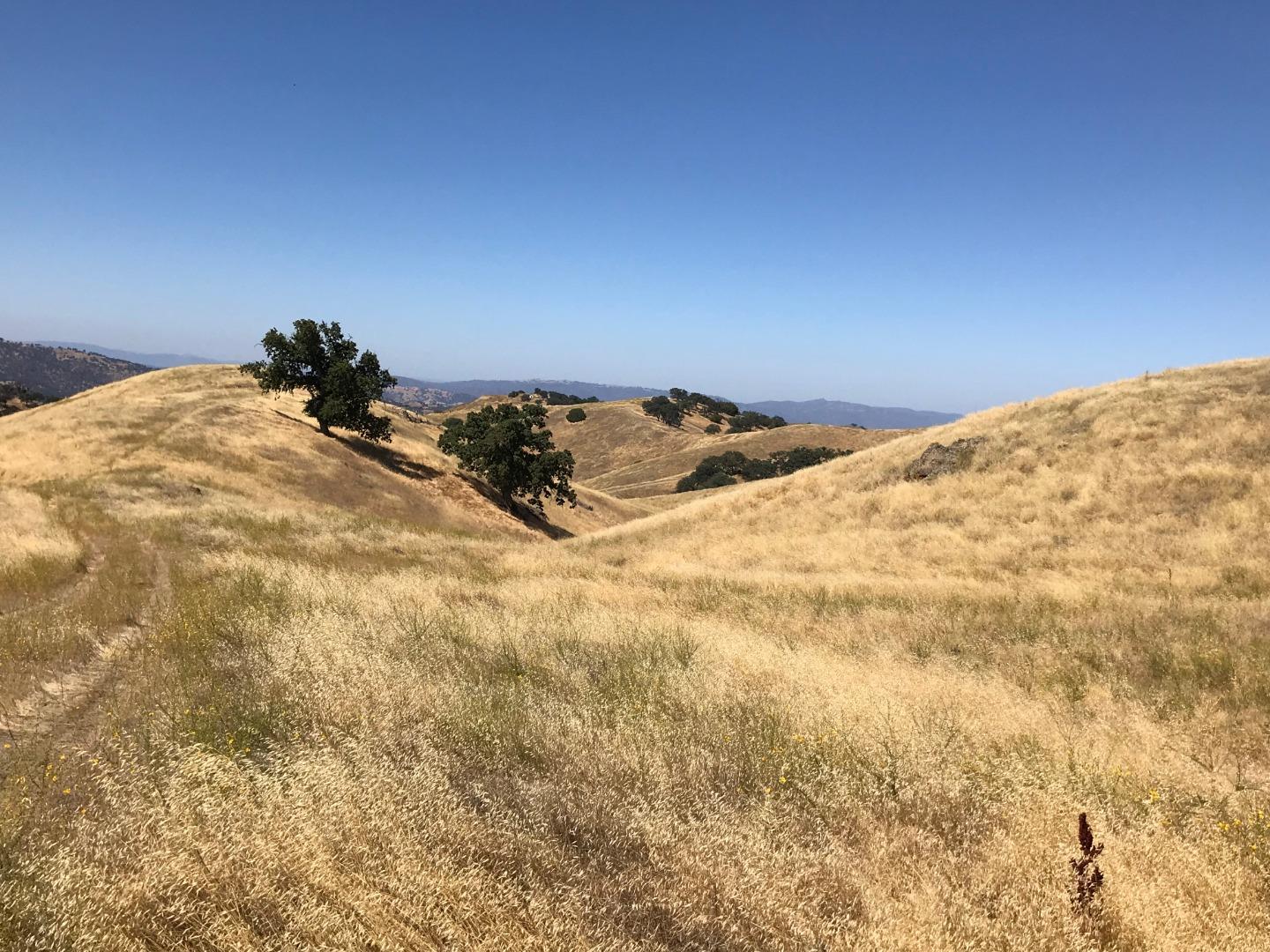 Lot 6 Panoche Road Paicines, CA 95043 - Photo 8 of 12 Gallery Image 8