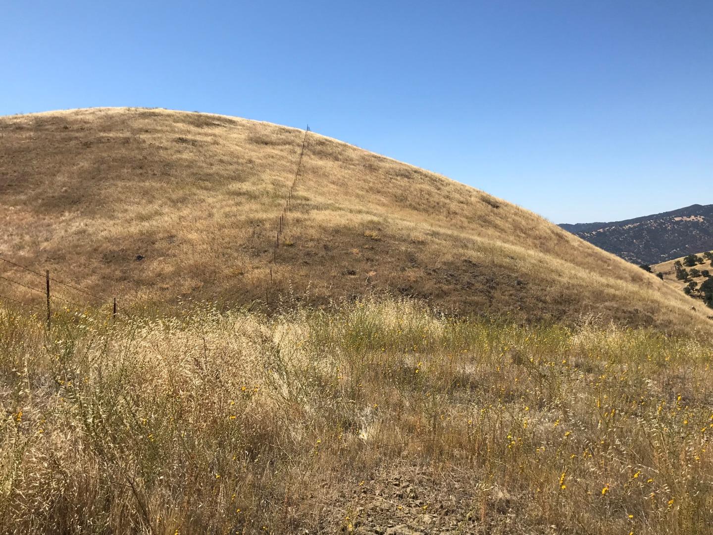 Lot 6 Panoche Road Paicines, CA 95043 - Photo 10 of 12 Gallery Image 10