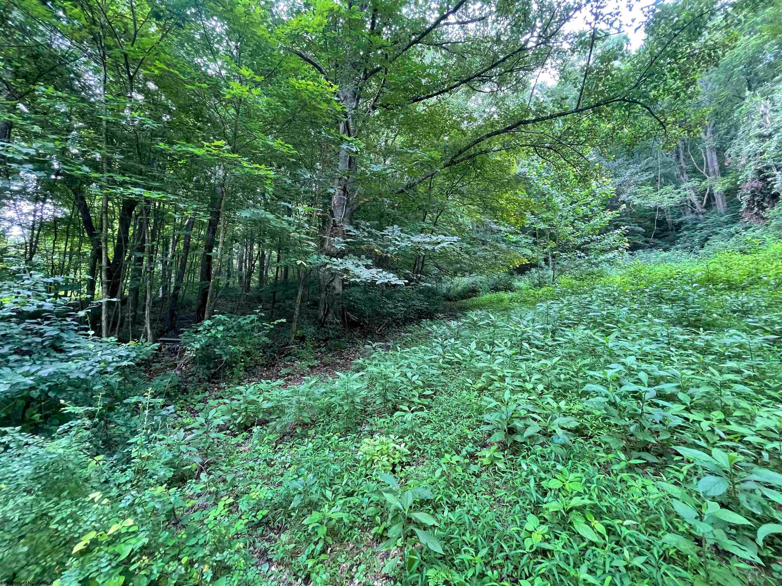 Tbd Little Mill Fall Road Fairmont, WV 26554 - Photo 19 of 20 Gallery Image 19