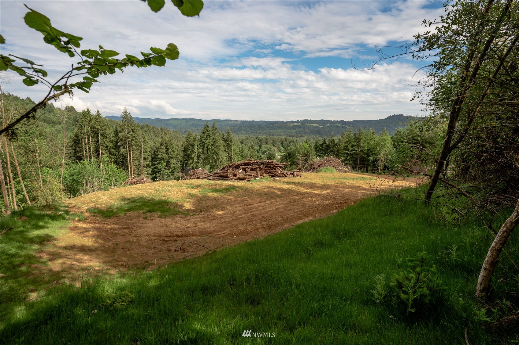 335 Nevala Road Woodland, WA 98674 - Photo 3 of 40 Gallery Image 3