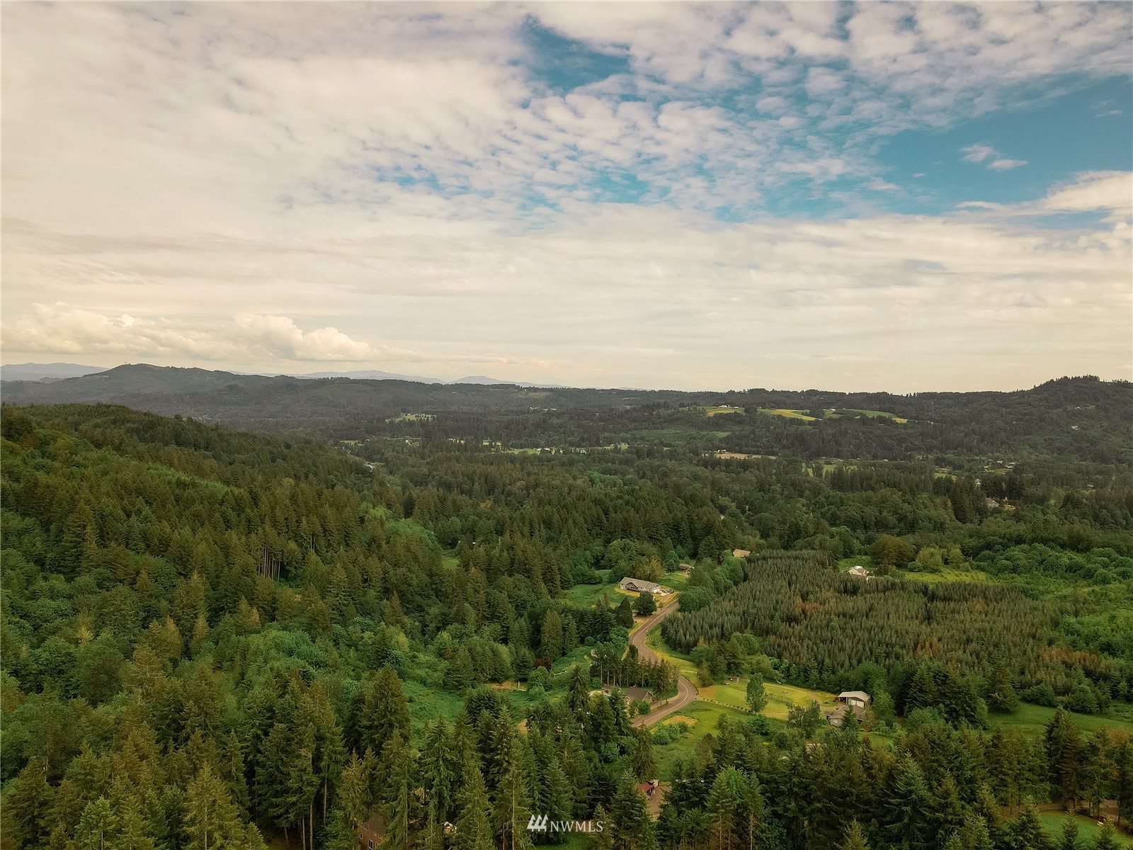 335 Nevala Road Woodland, WA 98674 - Photo 4 of 40 Gallery Image 4