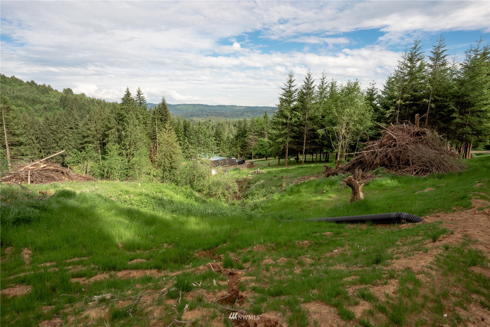 335 Nevala Road Woodland, WA 98674 - Photo 7 of 40 Gallery Image 7