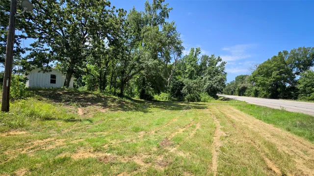 a view of backyard with tree