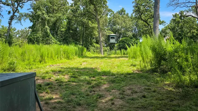 a view of outdoor space and yard