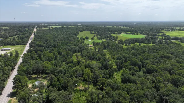 an aerial view of forest
