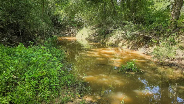 a view of yard from a window