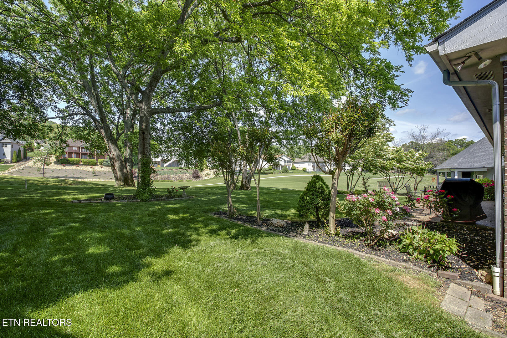 212 Tooweka Lane Loudon, TN 37774 - Photo 45 of 55 45_212 Tooweka Lane_Backyard01