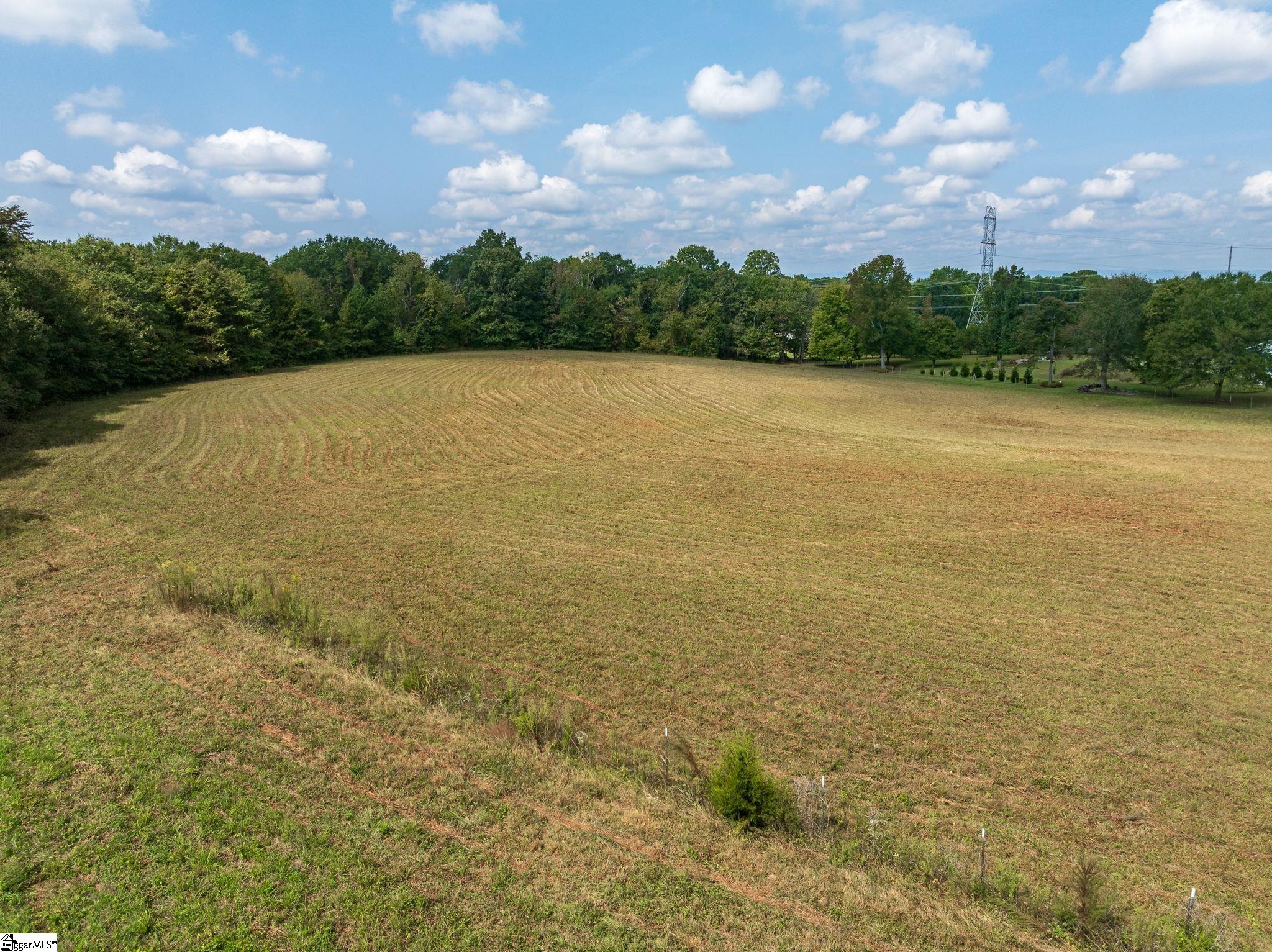 0 Copeland Road Greer, SC 29651 - Photo 20 of 23 Gallery Image 20