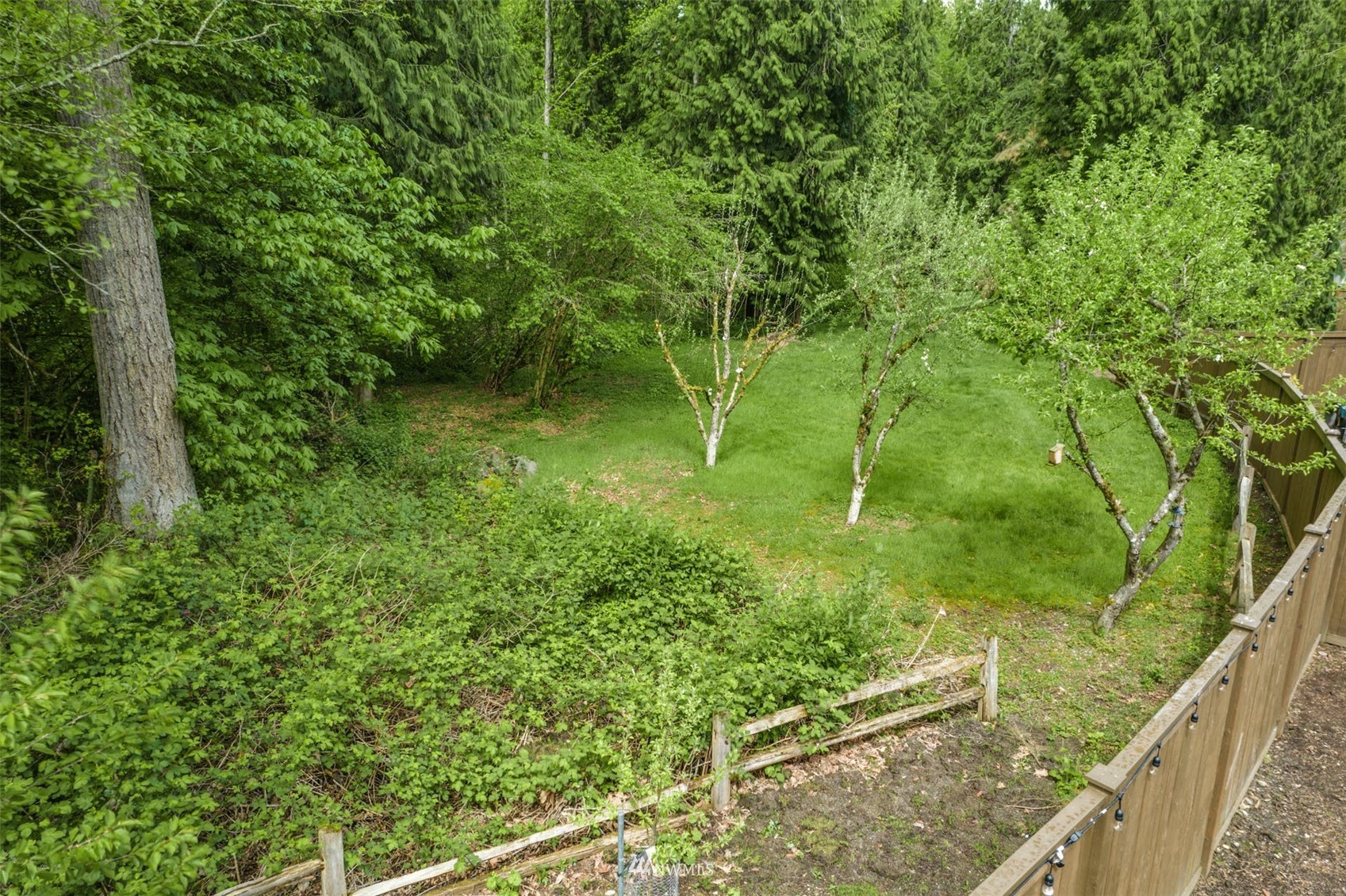 3312 238th Place Southeast Bothell, WA 98021 - Photo 36 of 40 a view of a garden