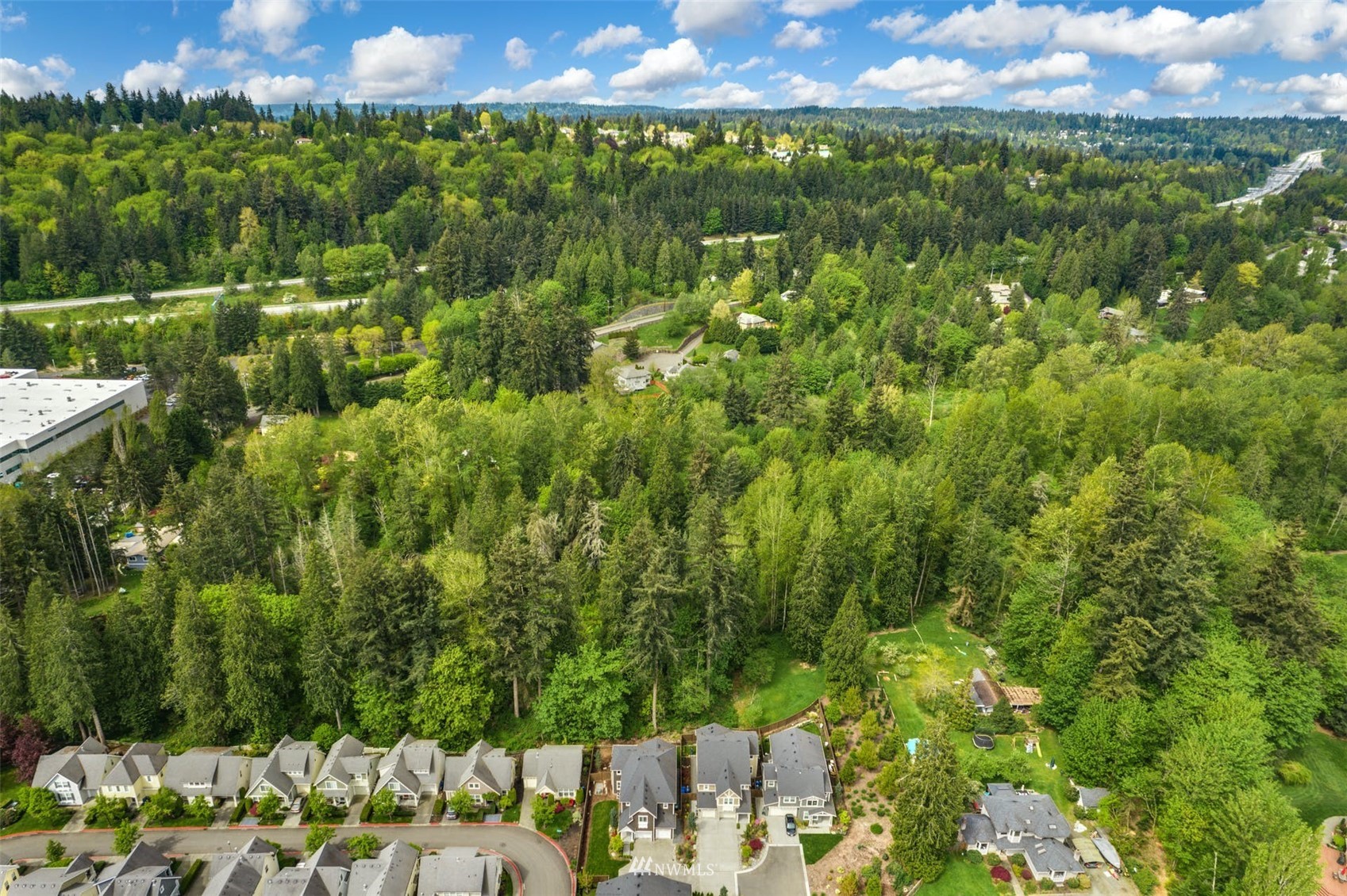 3312 238th Place Southeast Bothell, WA 98021 - Photo 40 of 40 a view of a bunch of trees