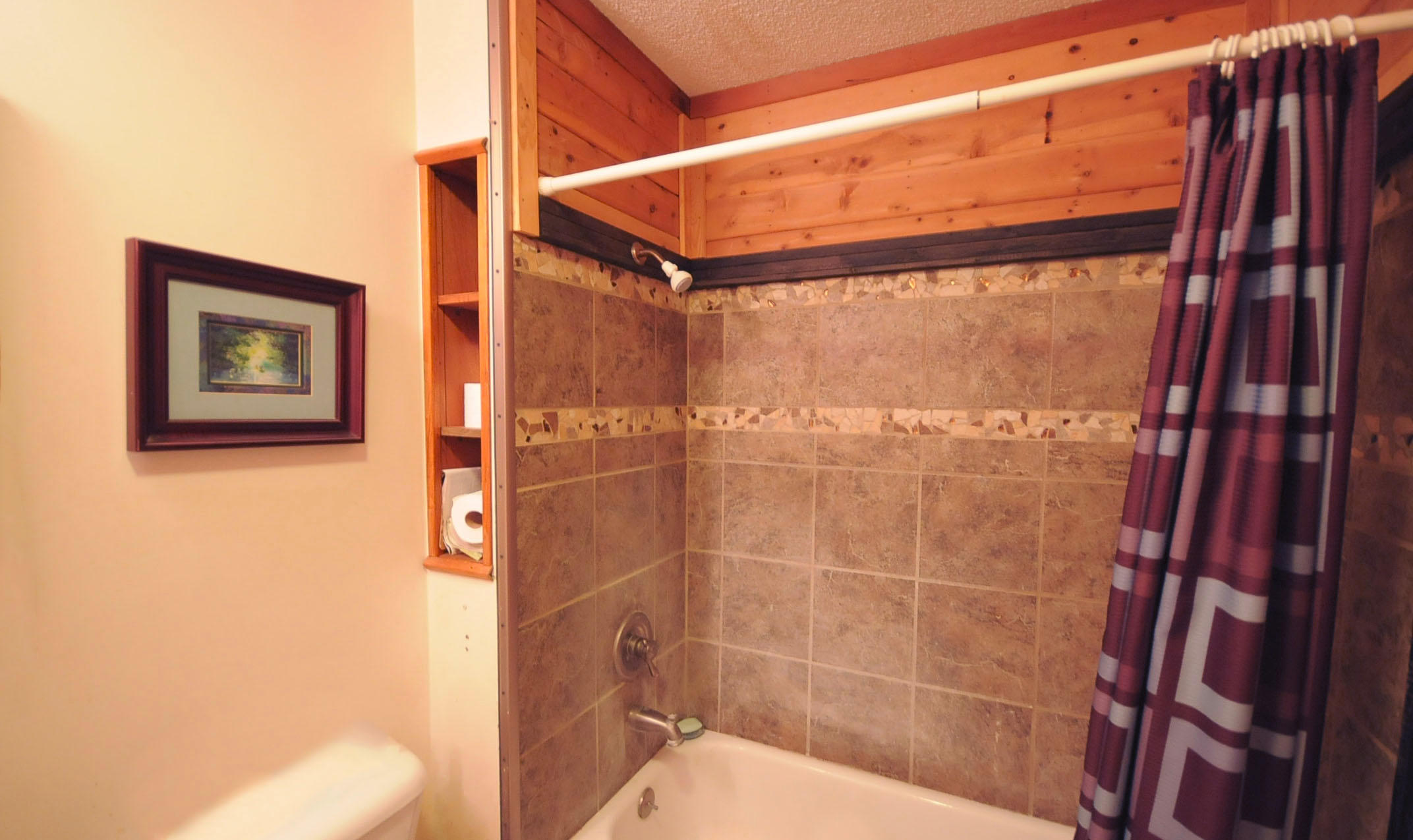 1007 Rule Hollow Road Sevierville, TN 37876 - Photo 6 of 22 SL3_0438