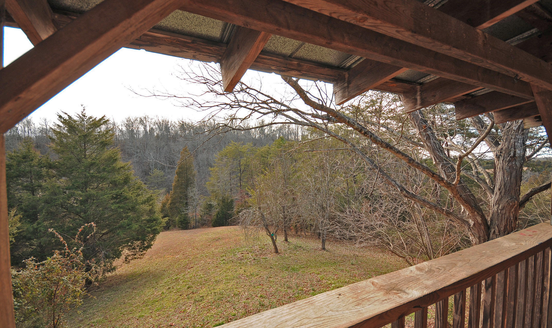 1007 Rule Hollow Road Sevierville, TN 37876 - Photo 9 of 22 SL3_0444