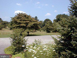 11 Ringfield Road Chadds Ford, PA 19317 - Photo 6 of 6 Gallery Image 6