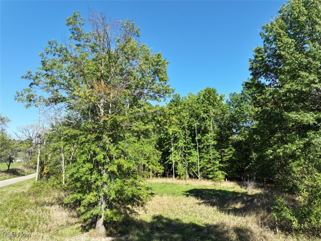 64877 Pigeon Gap Road Cambridge, OH 43725 - Photo 22 of 23 View of nature