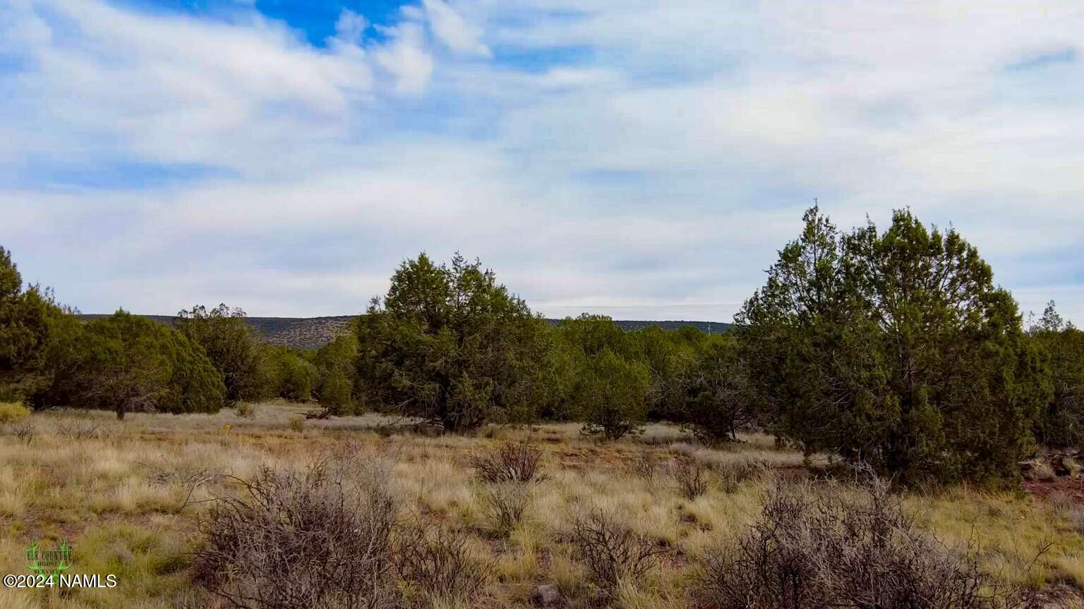 3025 North Double A Ranch Road, Unit 415 Williams, AZ 86046 - Photo 17 of 35 Elder.16