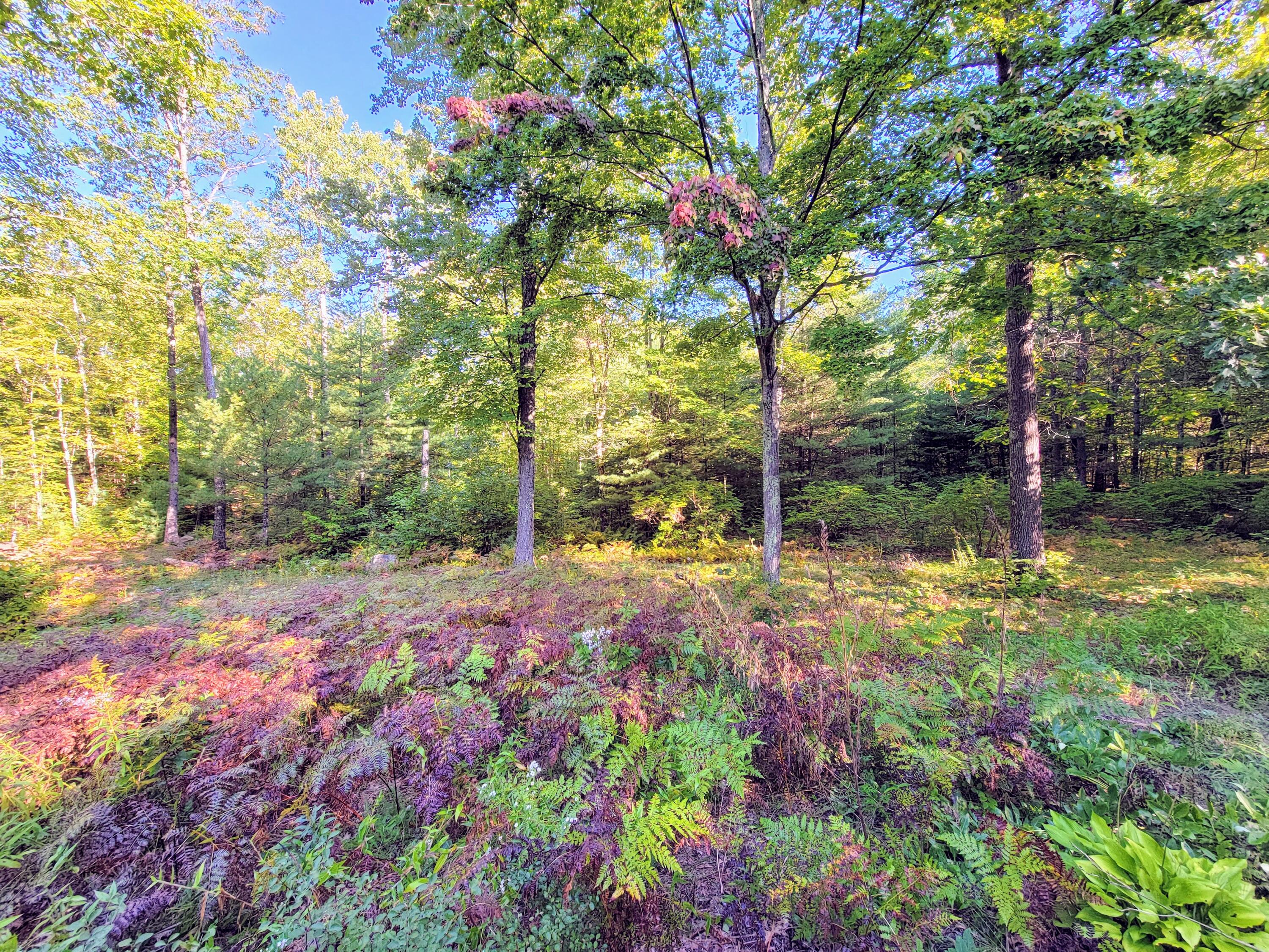 331 Brock Road Lyman, ME 04002 - Photo 9 of 62 image (65)