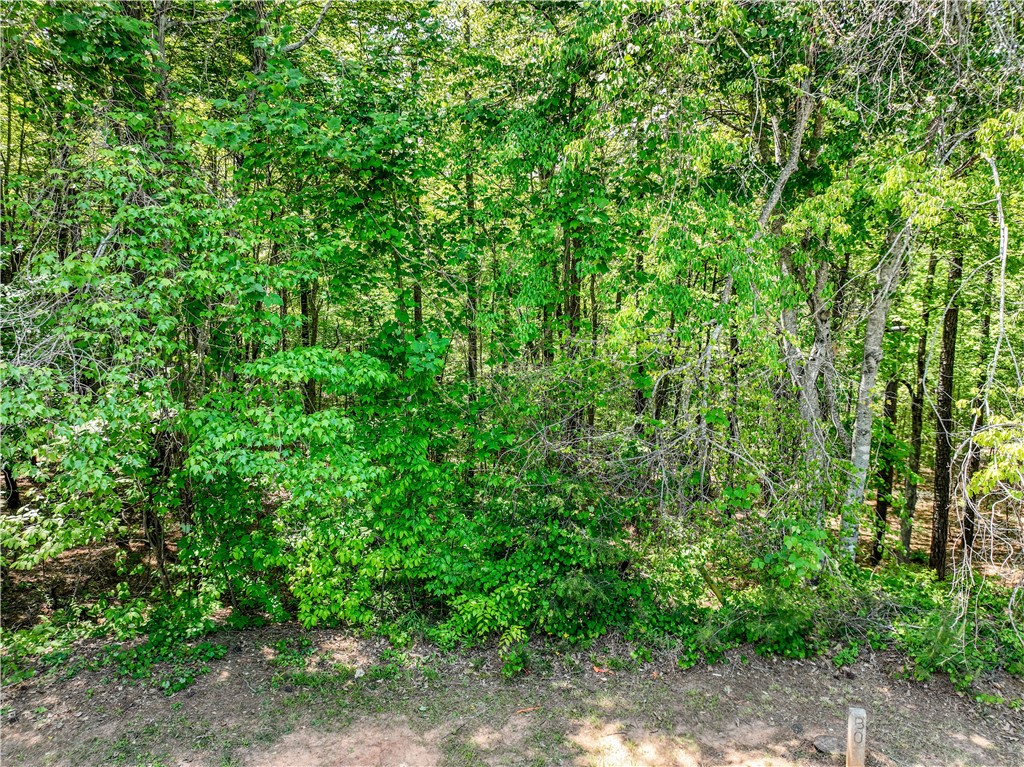 806 Bright Leaf Court Seneca, SC 29672 - Photo 11 of 34