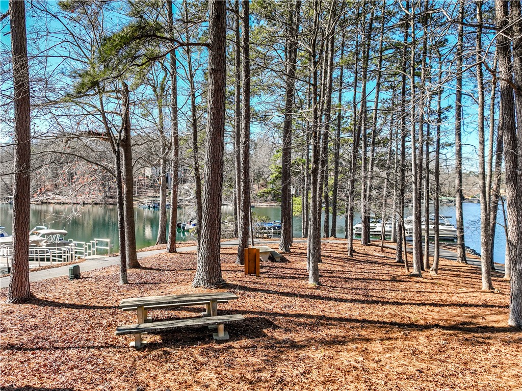806 Bright Leaf Court Seneca, SC 29672 - Photo 26 of 34