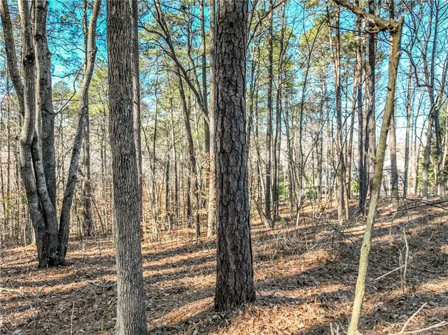 $169,000 | 806 Bright Leaf Court, Seneca, SC 29672