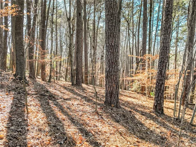 $169,000 | 806 Bright Leaf Court, Seneca, SC 29672