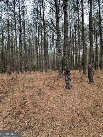 a view of outdoor space with trees