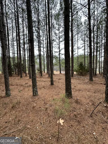 a backyard of a house with lots of trees