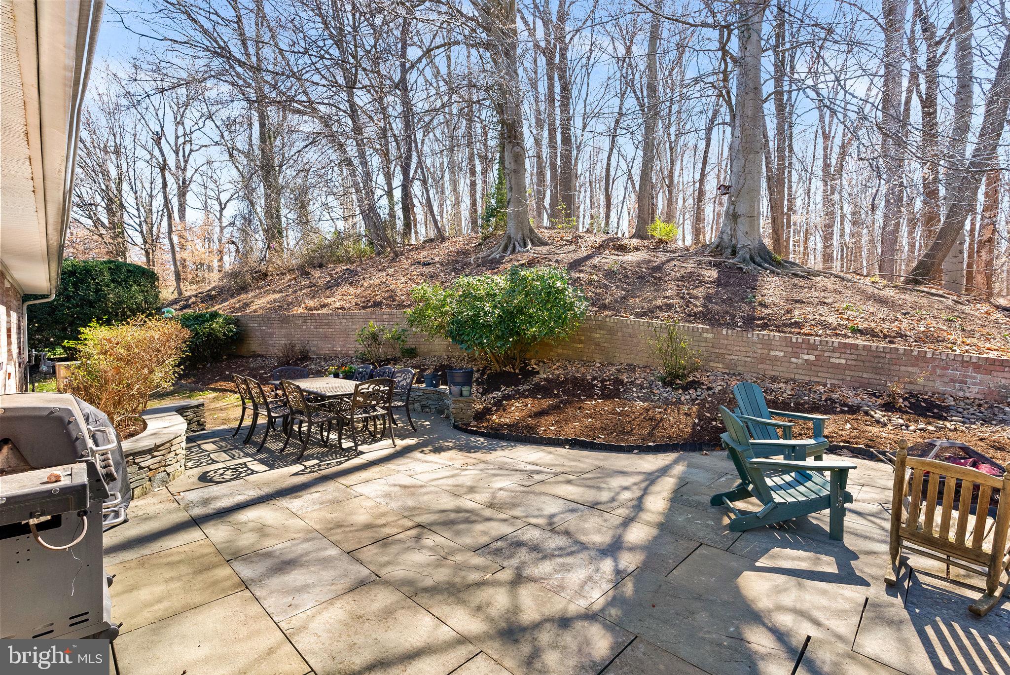 4119 27th Road North Arlington, VA 22207 - Photo 45 of 53 a view of backyard with table and chairs and a barbeque