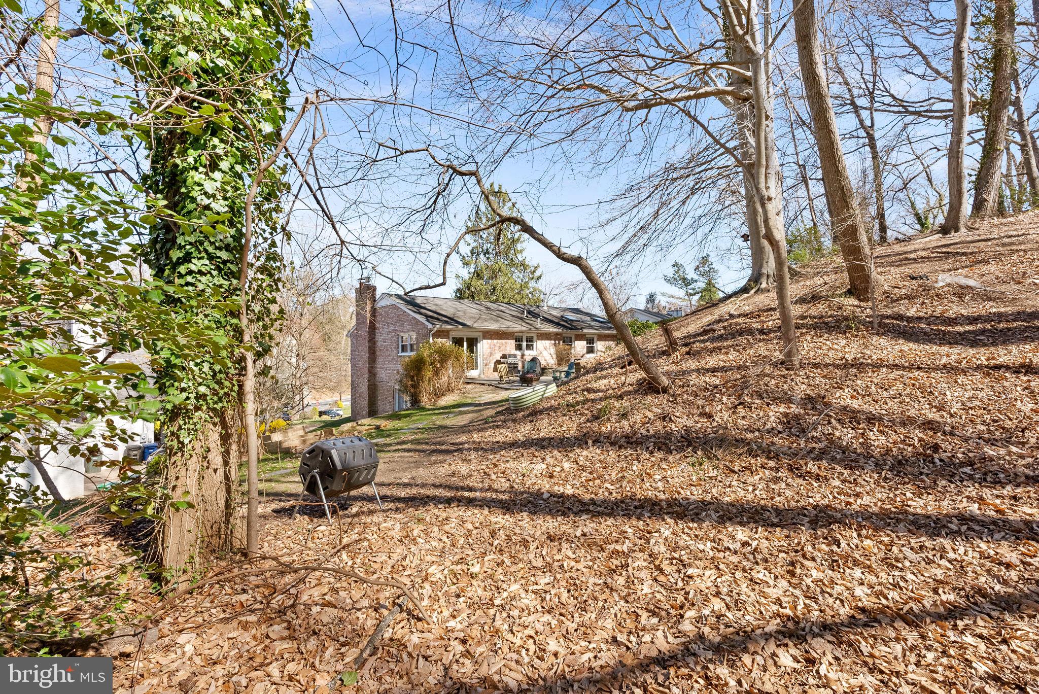 4119 27th Road North Arlington, VA 22207 - Photo 47 of 53 a view of a yard with a tree