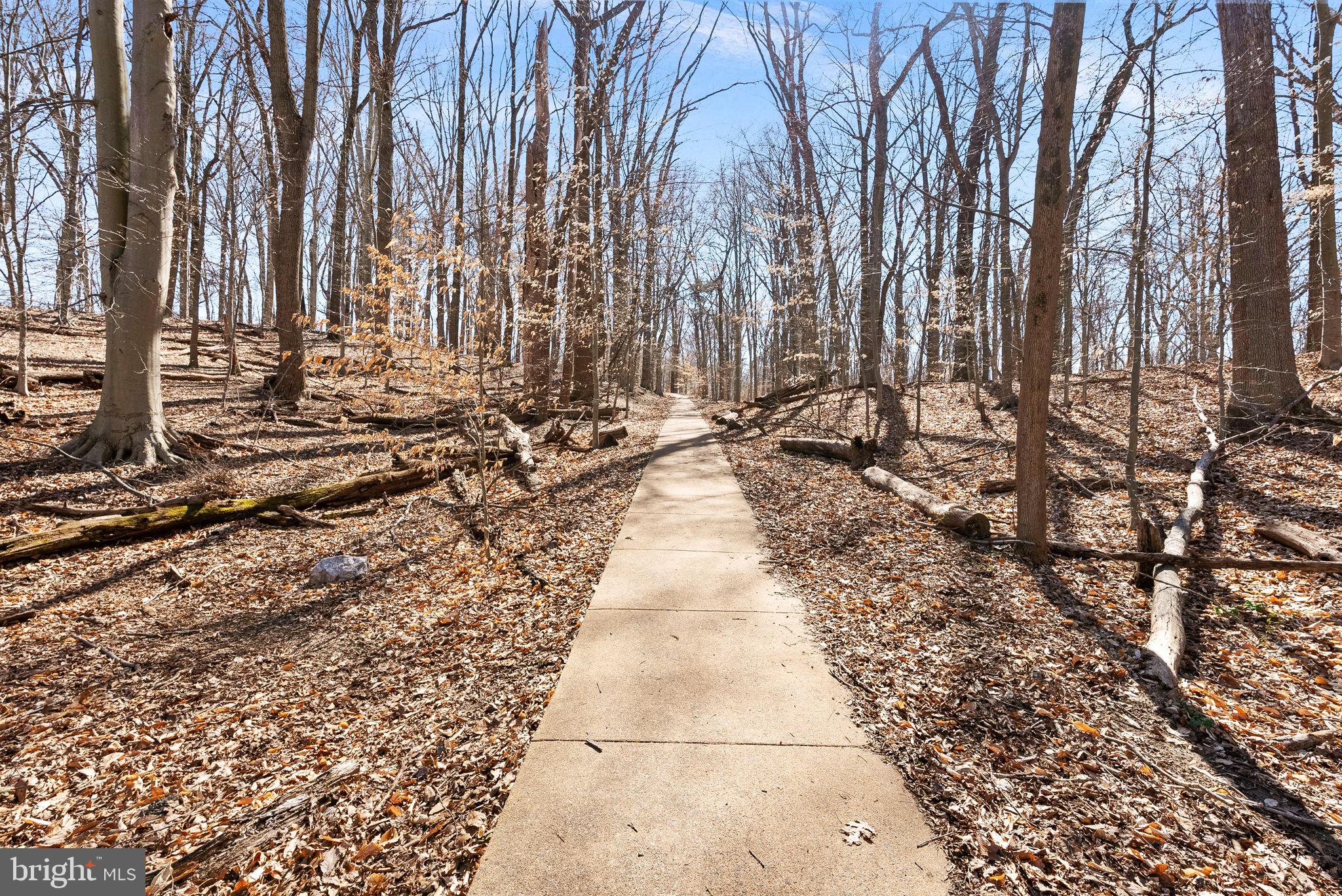 4119 27th Road North Arlington, VA 22207 - Photo 48 of 53 a view of a pathway with a yard