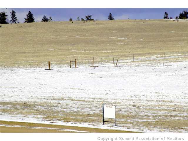 2501 Chickasaw Road Hartsel, CO 80449 - Photo 20 of 25 Exterior Front.